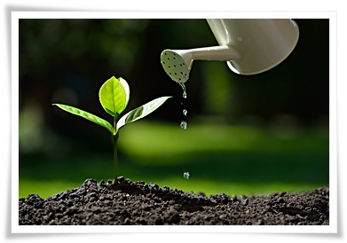 Investments at CIL Image